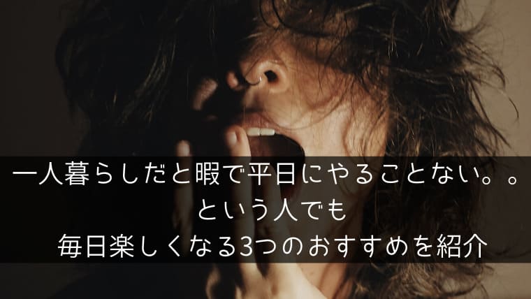 一人暮らしだと暇で平日にやることない という人でも毎日楽しくなる3つのおすすめを紹介 ポチのすけ